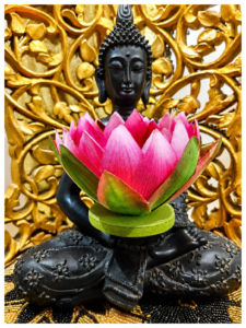 Wellness Center In Colaba - Moksham Spa